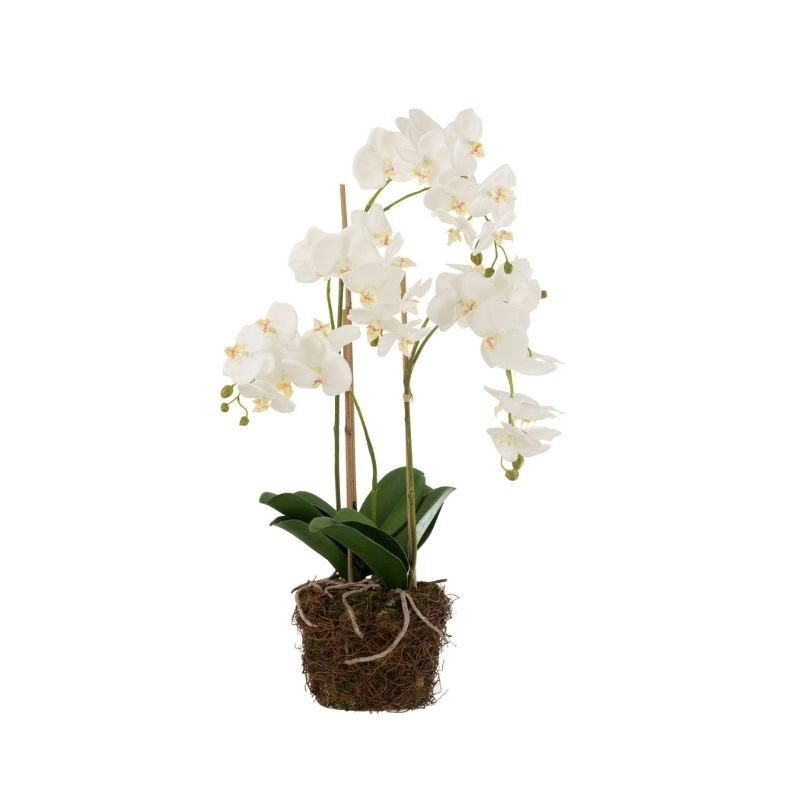 Sztuczny Storczyk biały w ziemi 75 cm