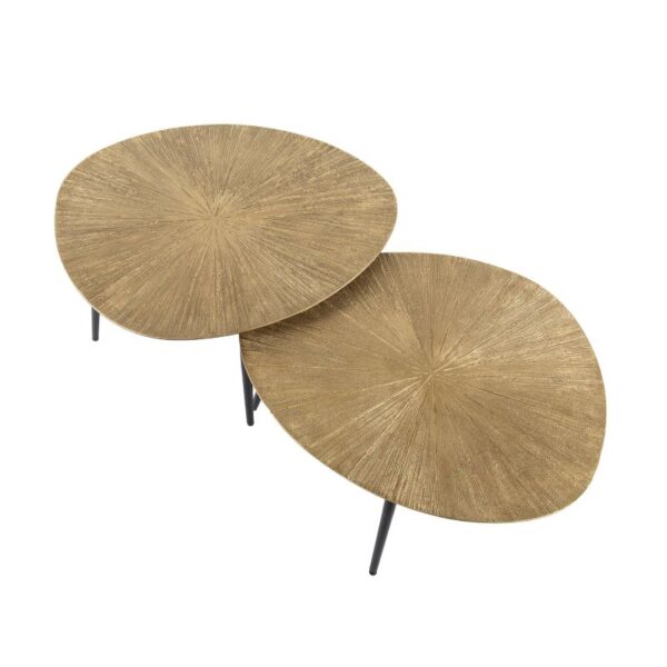 Stolik kawowy Organic Ray 2 szt